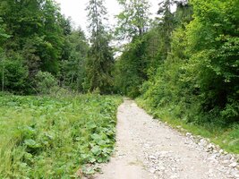 Odtud vede kaňonem Poráčského údolí podél Poráčského potoka cesta,