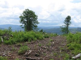 a výhledy do otevřeného kraje