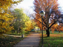 Poslední den začínáme v parku