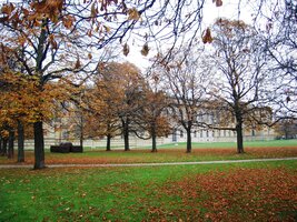 Za náměstím Kőnigsplatz začíná mnichovská říše kultury