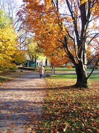 Jmenuje se Alte Botanische Garten