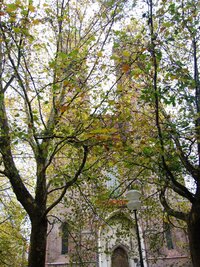 Hlavní městský dóm Frauenkirche se ozdobil podzimním závojem