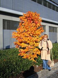 Výstavní paláce však dnes zejí prázdnotouj