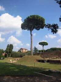 ale skrývají se za ní zcela neafrické stavby