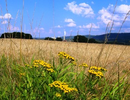 a jdeme dále do polí