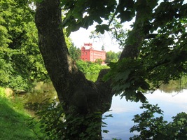 Co je to za růžový přelud?