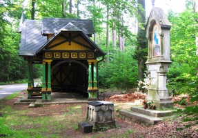 Těmito lesy kdysi korzovali lázeňští hosté