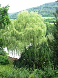 Odcházíme zámeckým parkem