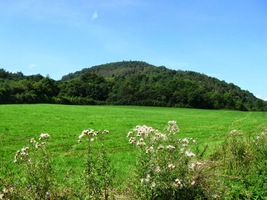 Úhošť je částí Doupovských vrchů,