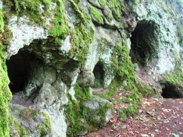 malých jeskyněk v sopečné hornině