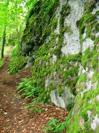 v málo přístupném svahu