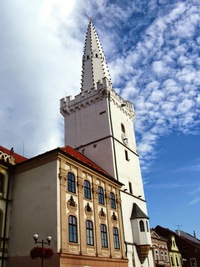 vysokou přes padesát metrů