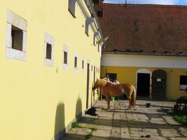 až k hypostatku v obci Skalka