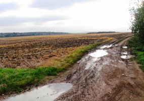 Odpoledne se vyčasilo,