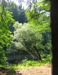 Do cíle to bylo ale ještě daleko.