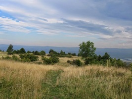 se rozkládá neobvyklá lesostep