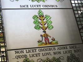 v Novém pivovaru v Žatci