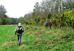 a tak jsme raději vyrazili do luk