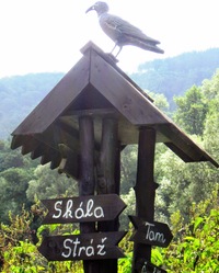 Inu, jsme přece v Údolí vlků!