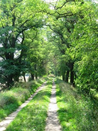 Pak už cesta vedla kolem řeky