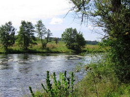 a my se s ní pomalu loučili