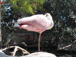 ale většinou nás provokativně přezírali