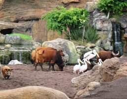 Biopark - ZOO - safari, vyberte si