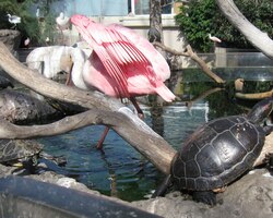 a její obyvatelé se nás nejen nebáli,