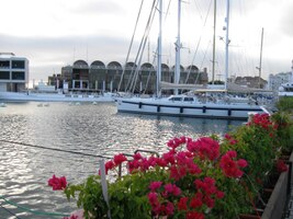 Kotví zde jachty všech druhů a velikostí,