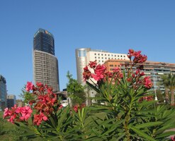 Je ráno, pojeďme už konečně do města!