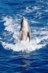 nakonec se nám uklonil