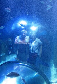 Tady už jsme ovšem pod vodou