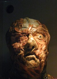 a to je on - trochu sešlý, že?