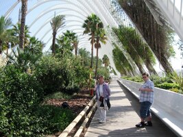 Že by z tohoto tropického skleníku?