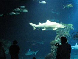 Někdo si ho odvážně fotí,