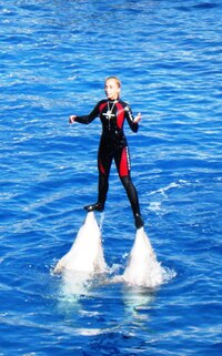 Další dva přivezli dámu