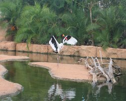 a popíjejíce pivo, můžete sledovat zvěř