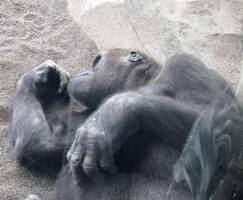 ale o poznání více rozkošnická