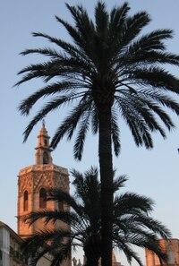 Zase nějaká malá věžička ?