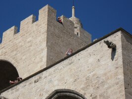 Míša se hned vydala vzhůru