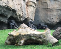 Co se to ale skrývá ve skalních slujích?