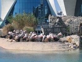 No jasně, jsme v ptačí voliéře!