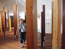 Učíme se poznávat druhy dřeva,