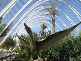 Tenhle má dokonce tendenci vzletět