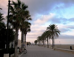 na přímořské palmové promenádě Del Neptuno