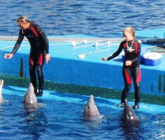 Během představení si občas dopluli pro nějaký pamlsek