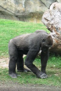 a také zvídavější