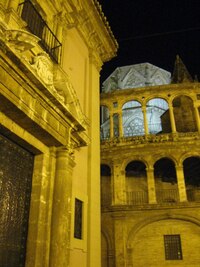 a dodávají kouzlo stinným zákoutím