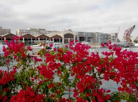 a že je jich pěkná řada!