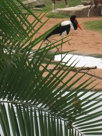 Nechtějte po mně jejich jména,